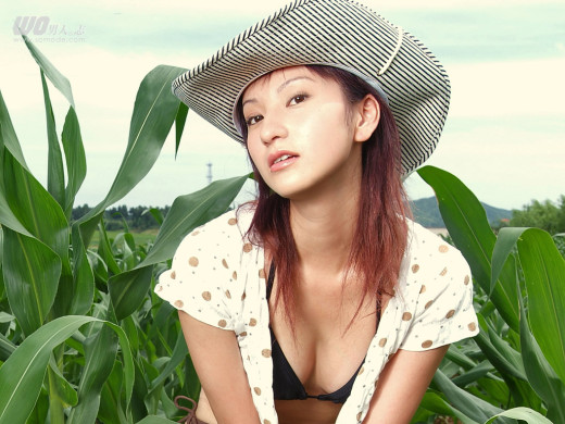 310903 (a): :1024x768